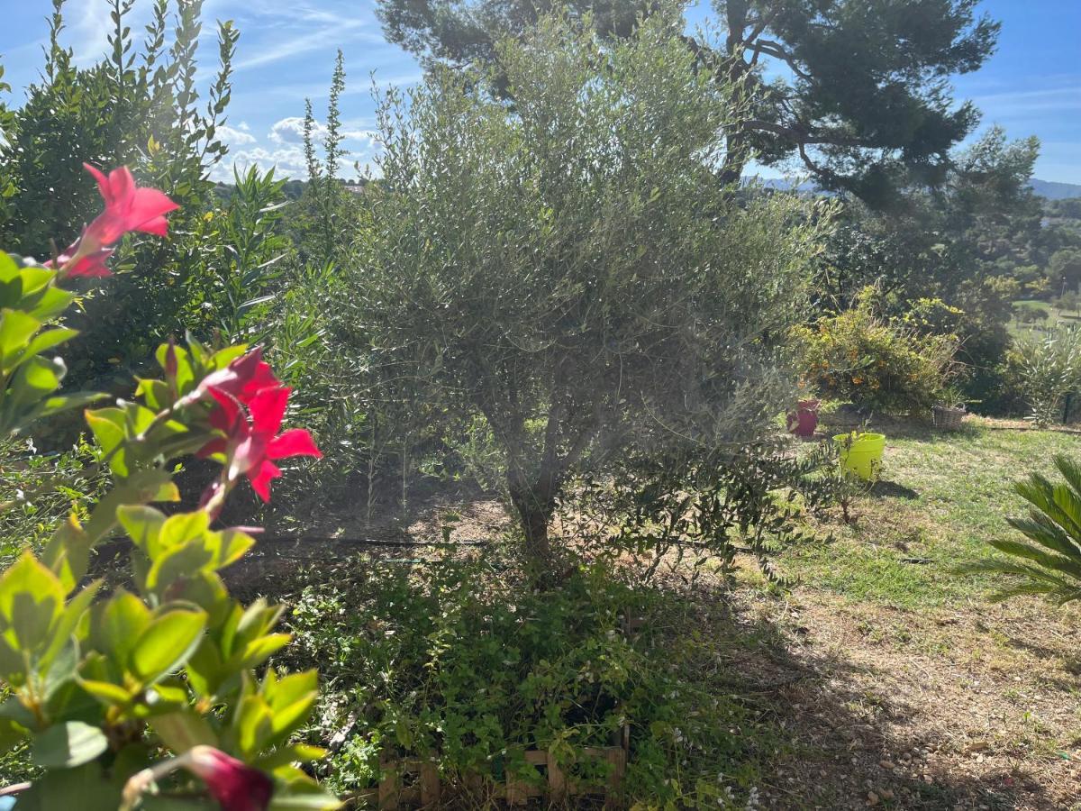 Charme Et Calme Apartman Marseille Kültér fotó
